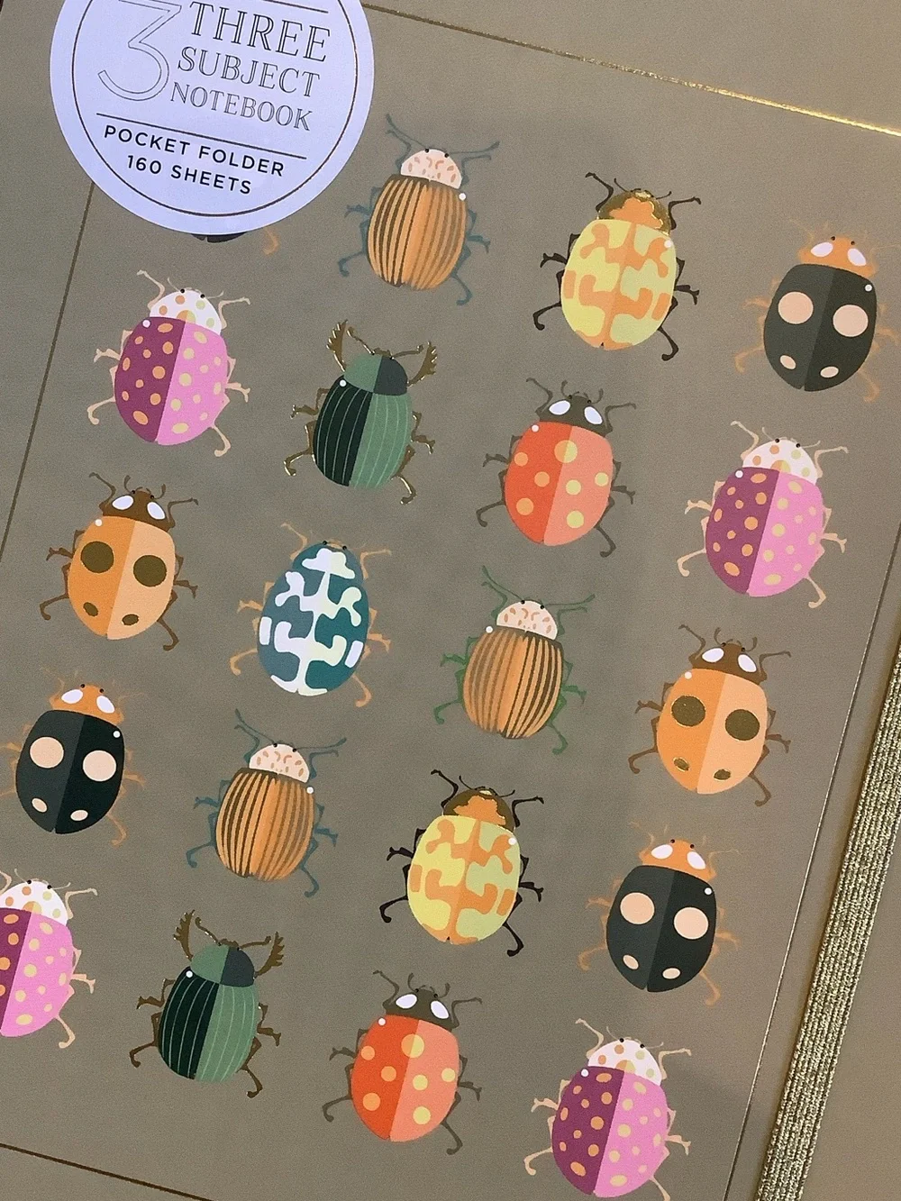 Stay Focused Spiral 3 Subject Notebook with Colorful Bug Design NWT 160pgs 8x10”